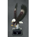 10" Striking Eagle in Color